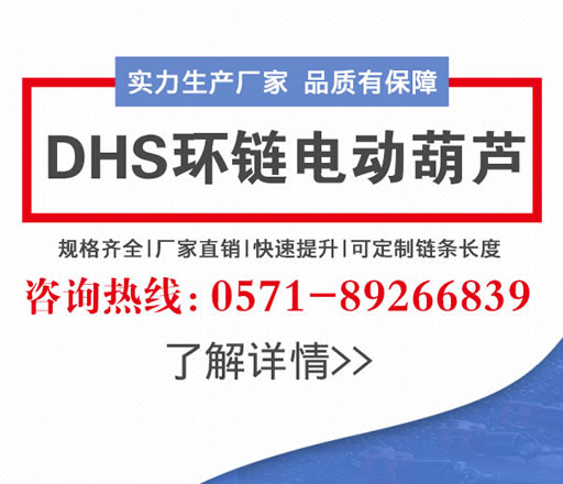 上海環鏈電動葫蘆十大品牌推薦